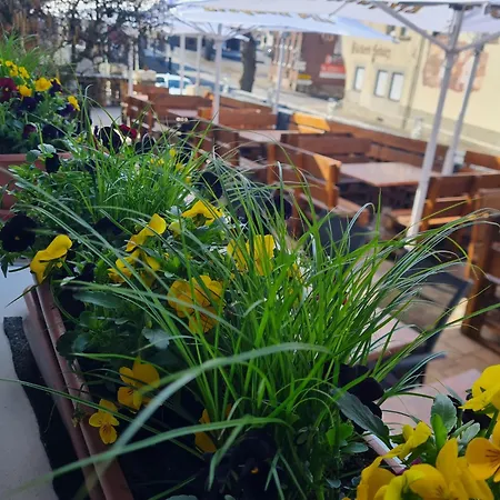 Restaurant Rueckert Nistertal